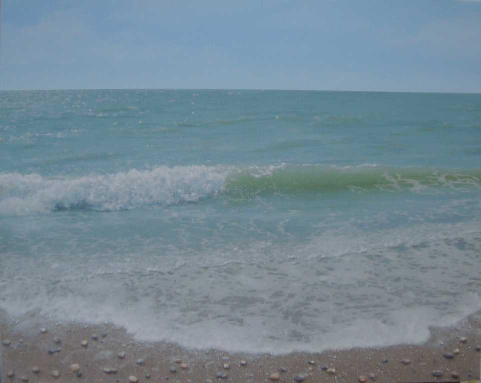 Ferring beach jn June